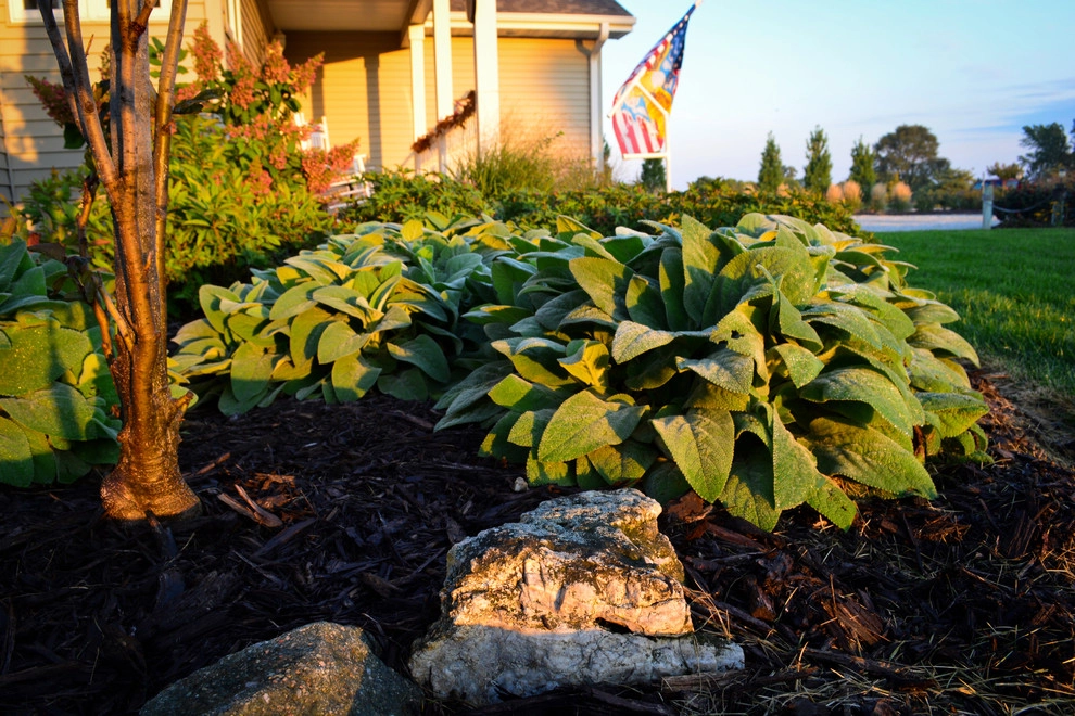 Lakeside Rustic Landscape by Breaking Ground - Photo 8