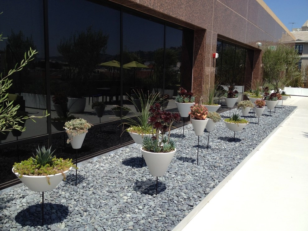 Beverly Hills Commercial 1 by Enzo Caserta Landscaping, Inc - Photo 7