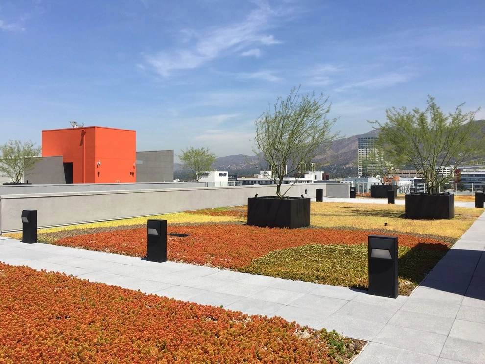 Glendale Commercial 1 by Enzo Caserta Landscaping, Inc - Photo 4