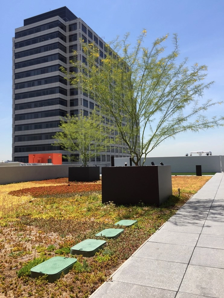Glendale Commercial 1 by Enzo Caserta Landscaping, Inc - Photo 10
