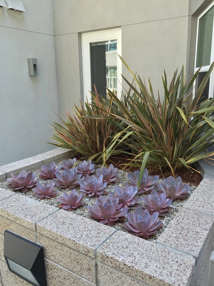 Glendale Commercial 1 by Enzo Caserta Landscaping, Inc - Photo 6