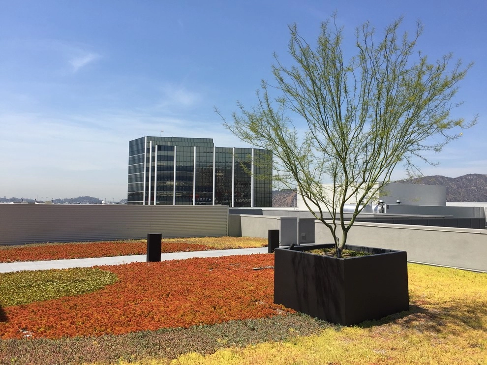 Glendale Commercial 1 by Enzo Caserta Landscaping, Inc - Photo 11