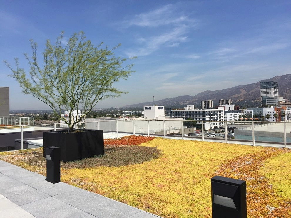 Glendale Commercial 1 by Enzo Caserta Landscaping, Inc - Photo 9