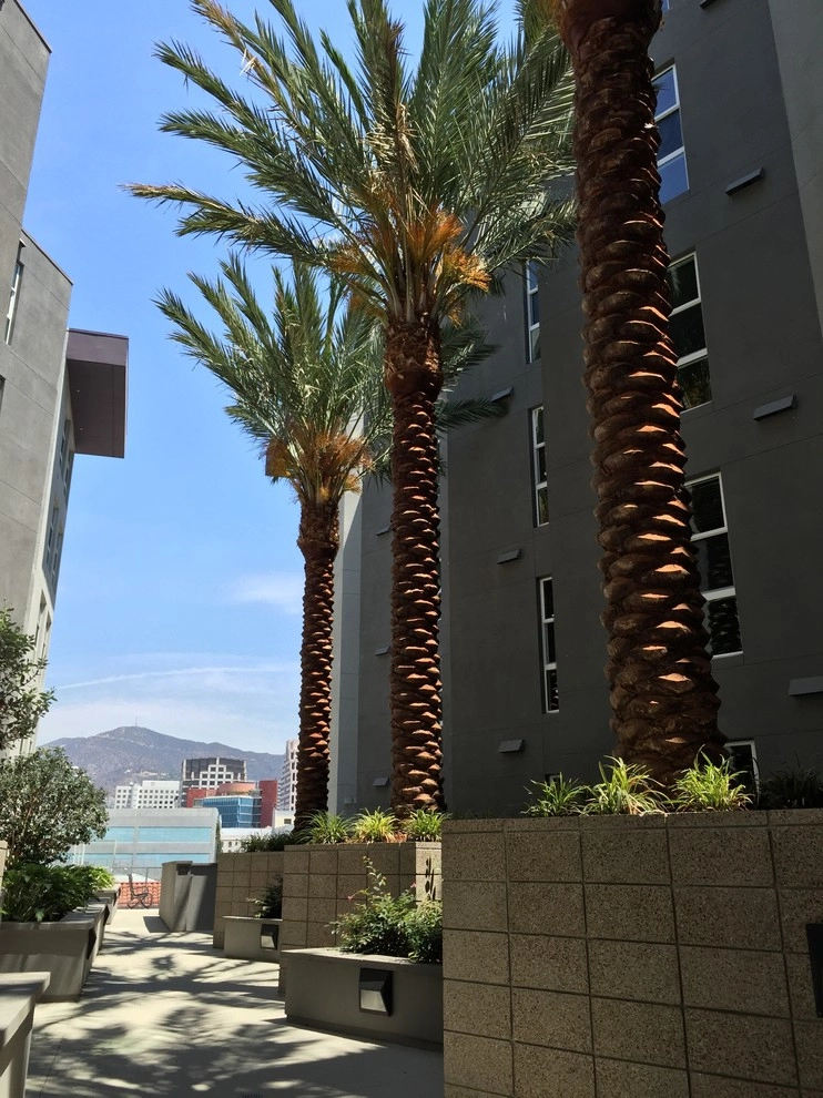 Glendale Commercial 1 by Enzo Caserta Landscaping, Inc - Photo 7