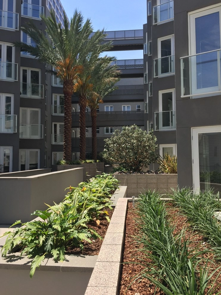 Glendale Commercial 1 by Enzo Caserta Landscaping, Inc - Photo 5