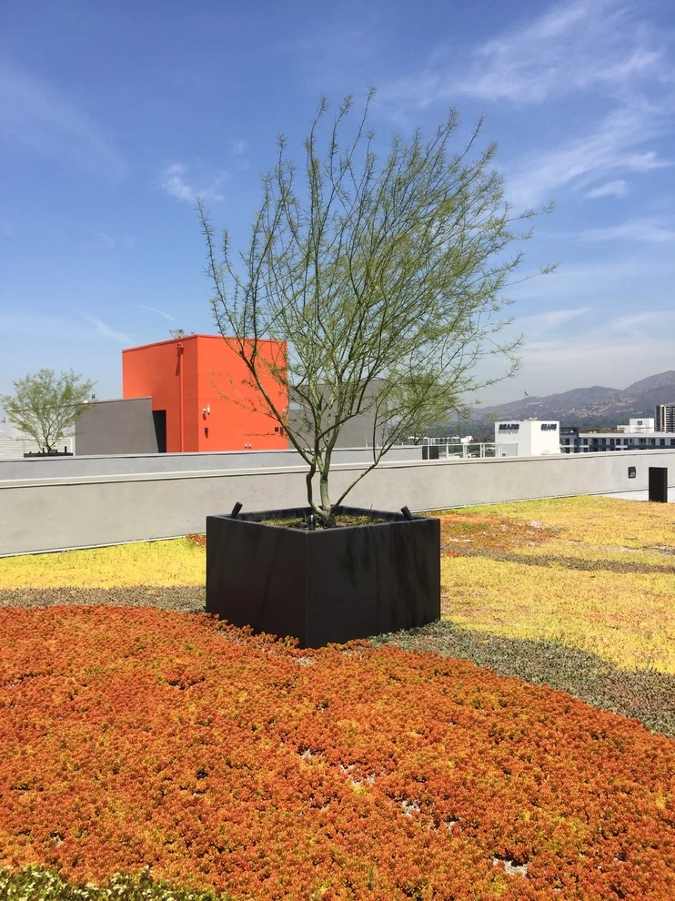 Glendale Commercial 1 by Enzo Caserta Landscaping, Inc - Photo 8