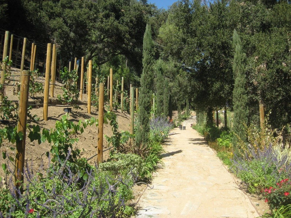 Pacific Palisades Residence 2 by Enzo Caserta Landscaping, Inc - Photo 5