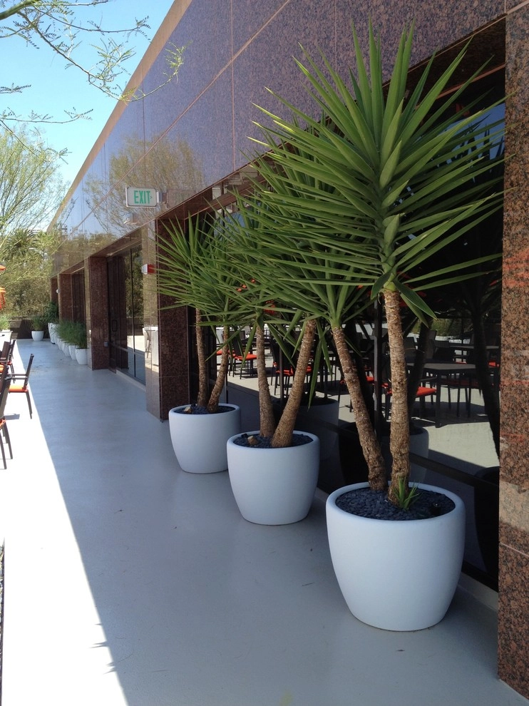 Beverly Hills Commercial 1 by Enzo Caserta Landscaping, Inc - Photo 6