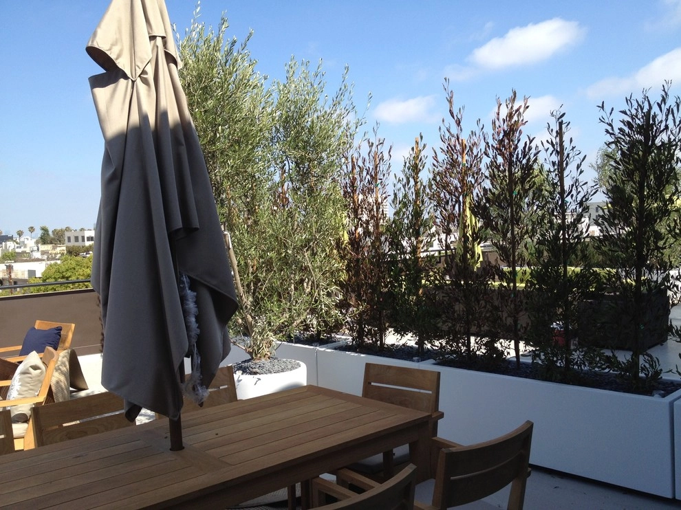 Beverly Hills Commercial 1 by Enzo Caserta Landscaping, Inc - Photo 4