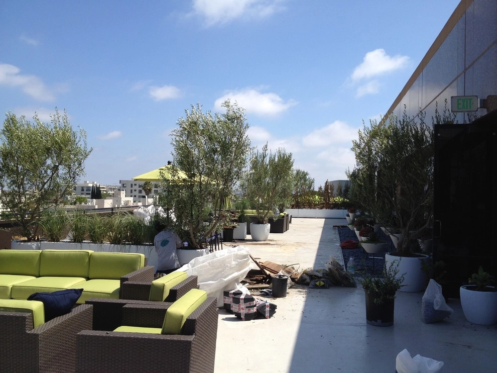 Beverly Hills Commercial 1 by Enzo Caserta Landscaping, Inc - Photo 5