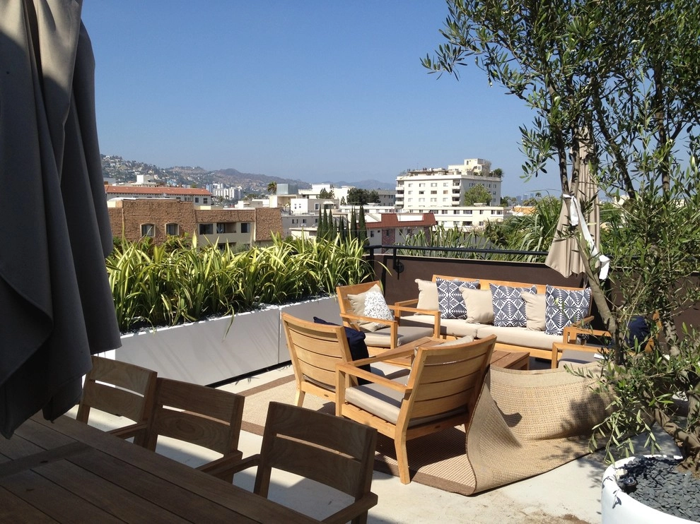 Beverly Hills Commercial 1 by Enzo Caserta Landscaping, Inc - Photo 3