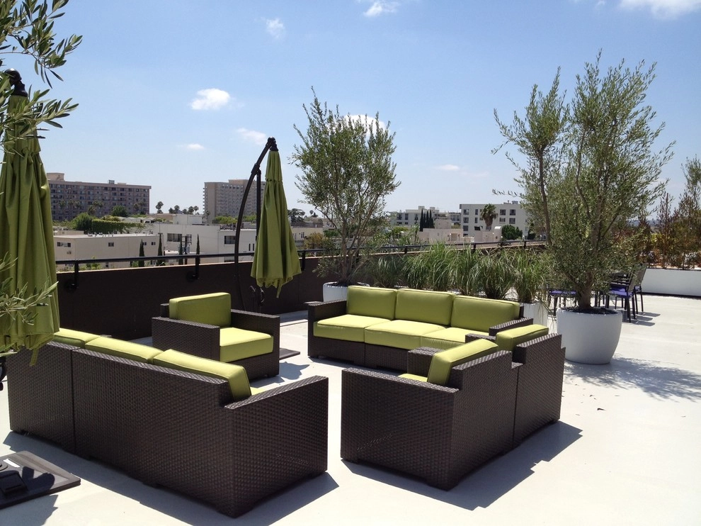 Enzo Caserta Landscaping, Inc - Photo 4