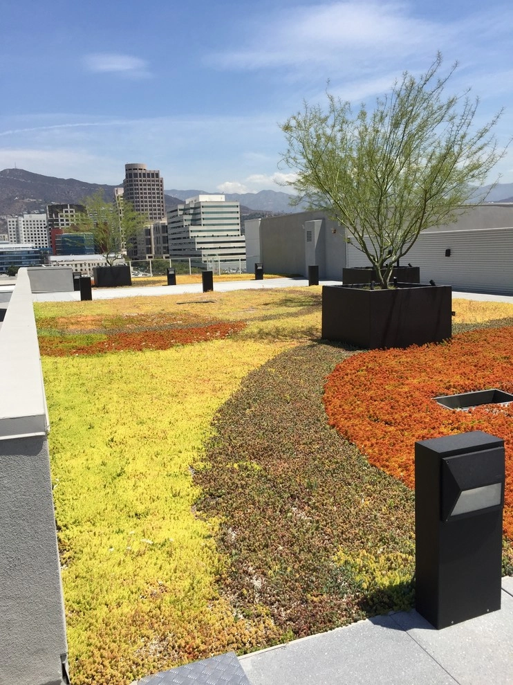 Glendale Commercial 1 by Enzo Caserta Landscaping, Inc - Photo 2