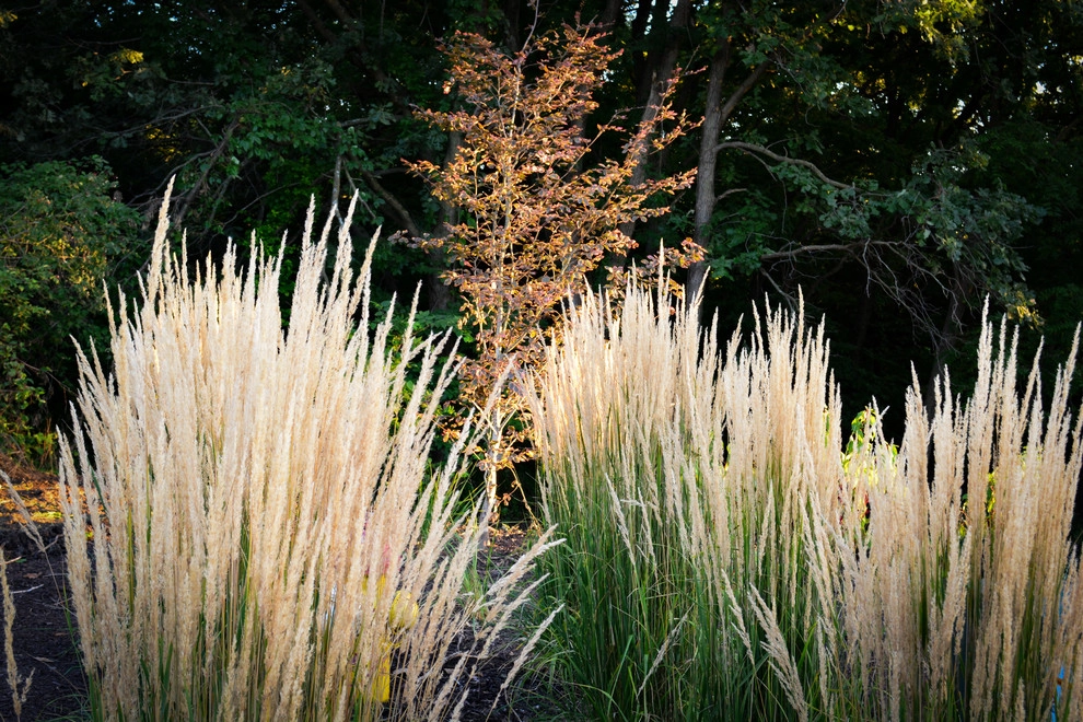 Modern Hillside Entry and Sculpture Garden by Breaking Ground - Photo 33