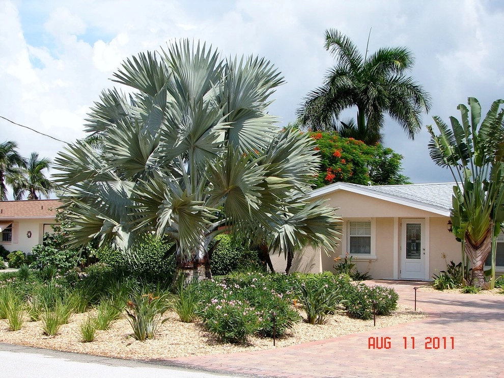 Evergreen Irrigation & Landscaping - Photo 6