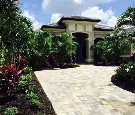 New Construction Tropical Landscape by Evergreen Irrigation & Landscaping - Photo 2