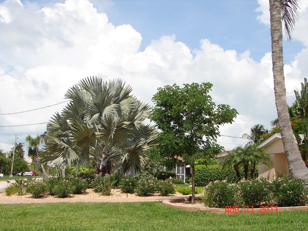 Evergreen Irrigation & Landscaping - Photo 7