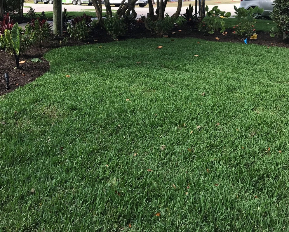 Evergreen Irrigation & Landscaping - Photo 8