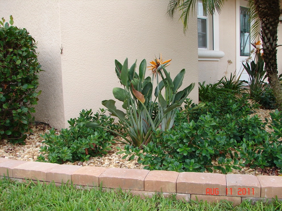 Beach Landscape by Evergreen Irrigation & Landscaping - Photo 8