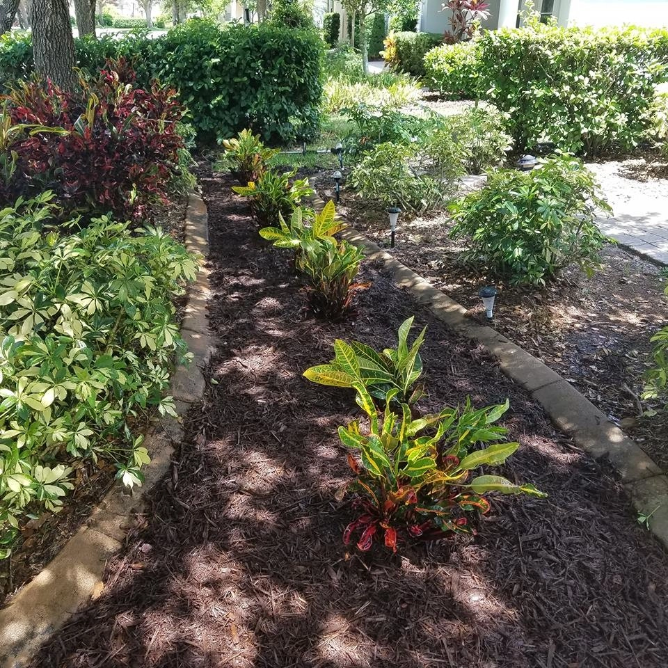 Evergreen Lawn Service LLC. - Photo 3