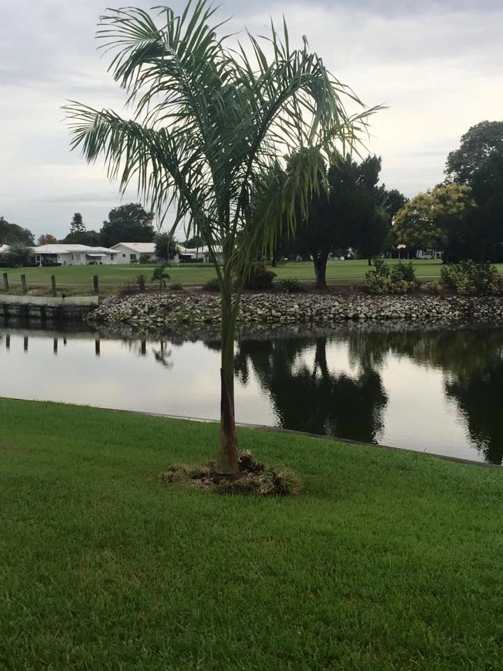 Evergreen Lawn Service LLC. - Photo 4