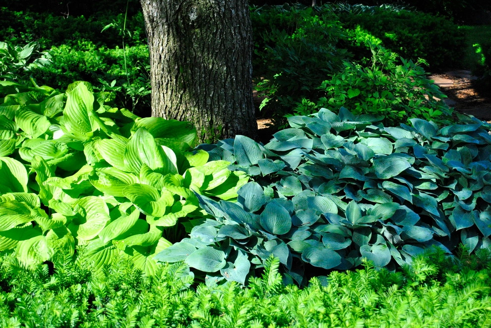 Outdoor Living by Breaking Ground - Photo 24