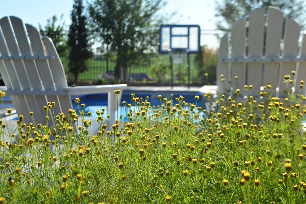 Comfortable Backyard Retreat by Breaking Ground - Photo 23