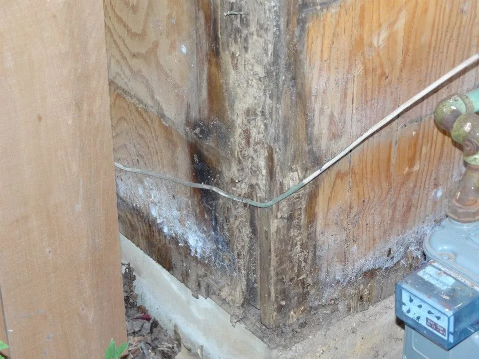 Timber Decay and Moisture Damage by Gordon Designed Homes, LLC - Photo 56