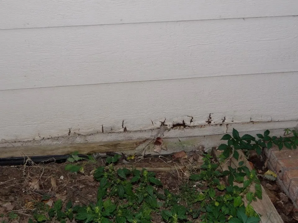 Timber Decay and Moisture Damage by Gordon Designed Homes, LLC - Photo 21
