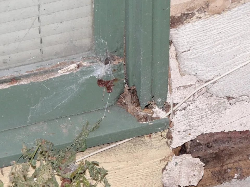 Timber Decay and Moisture Damage by Gordon Designed Homes, LLC - Photo 44