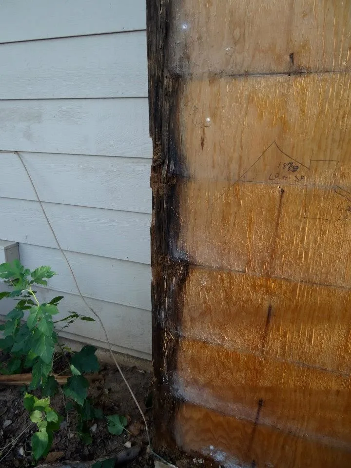 Timber Decay and Moisture Damage by Gordon Designed Homes, LLC - Photo 18