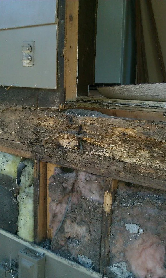 Timber Decay and Moisture Damage by Gordon Designed Homes, LLC - Photo 8