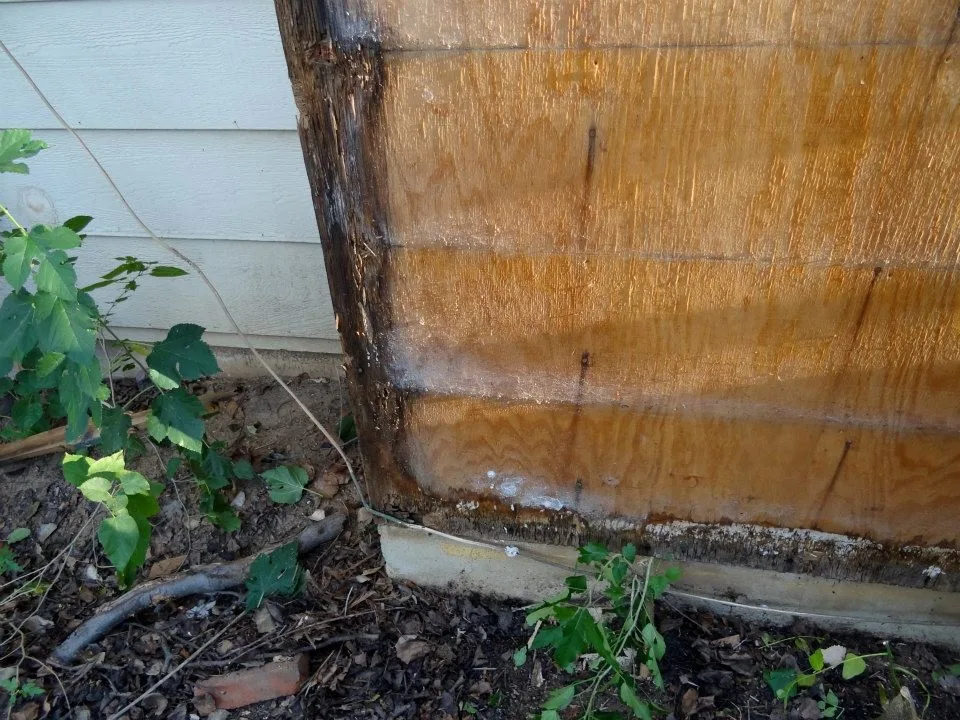 Timber Decay and Moisture Damage by Gordon Designed Homes, LLC - Photo 4