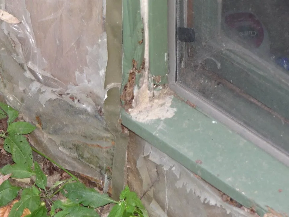 Timber Decay and Moisture Damage by Gordon Designed Homes, LLC - Photo 36
