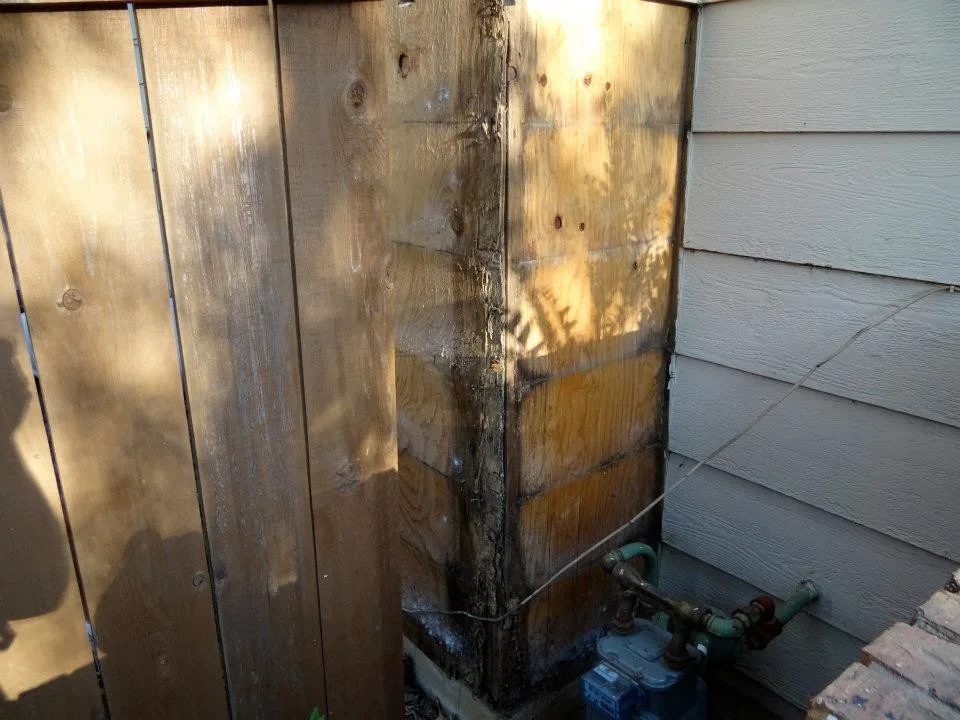 Timber Decay and Moisture Damage by Gordon Designed Homes, LLC - Photo 43