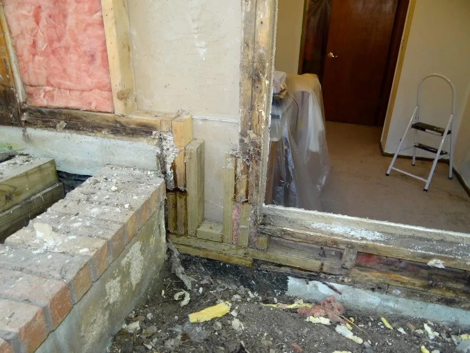 Timber Decay and Moisture Damage by Gordon Designed Homes, LLC - Photo 57
