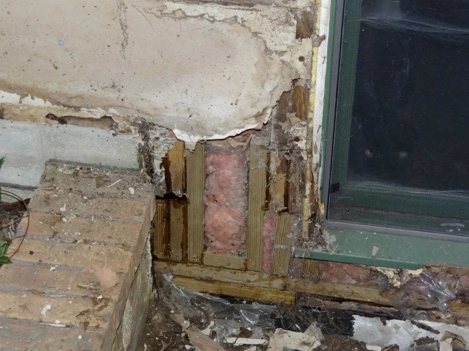 Timber Decay and Moisture Damage by Gordon Designed Homes, LLC - Photo 23
