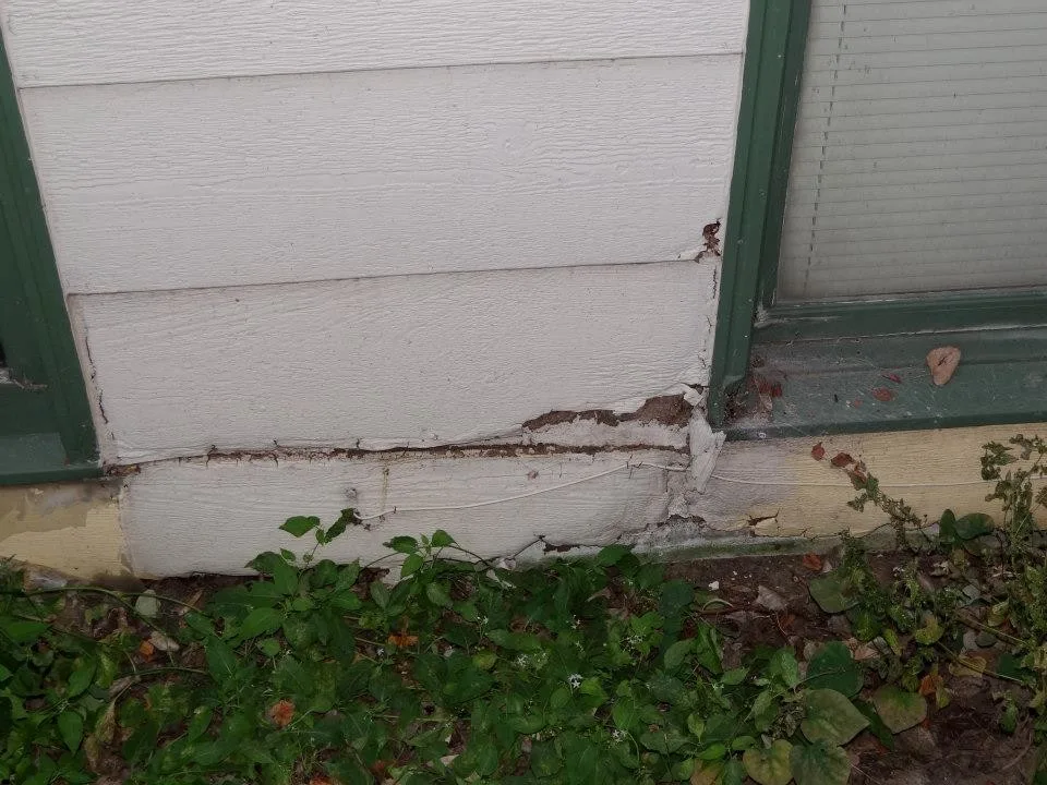 Timber Decay and Moisture Damage by Gordon Designed Homes, LLC - Photo 17