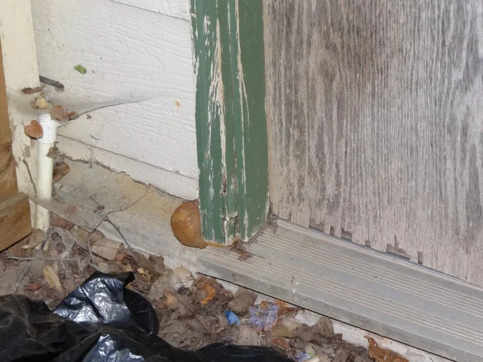 Timber Decay and Moisture Damage by Gordon Designed Homes, LLC - Photo 45