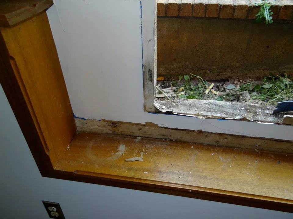 Timber Decay and Moisture Damage by Gordon Designed Homes, LLC - Photo 58