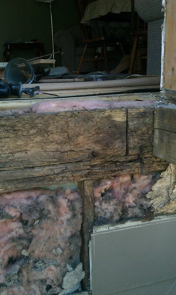 Timber Decay and Moisture Damage by Gordon Designed Homes, LLC - Photo 14