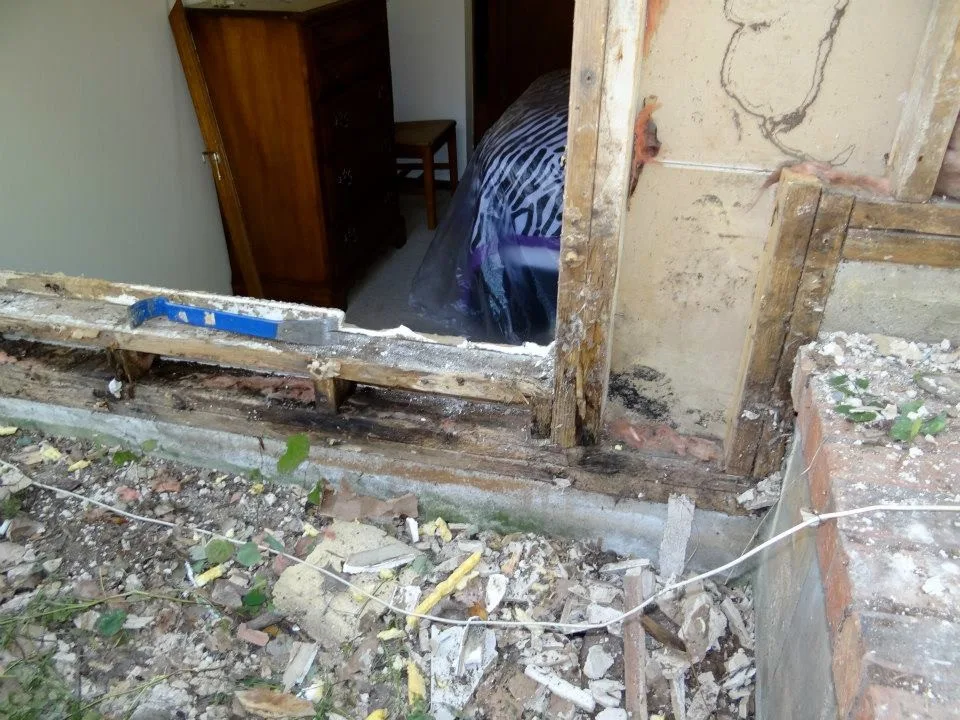 Timber Decay and Moisture Damage by Gordon Designed Homes, LLC - Photo 20
