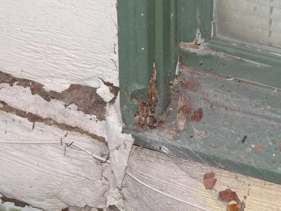 Timber Decay and Moisture Damage by Gordon Designed Homes, LLC - Photo 10