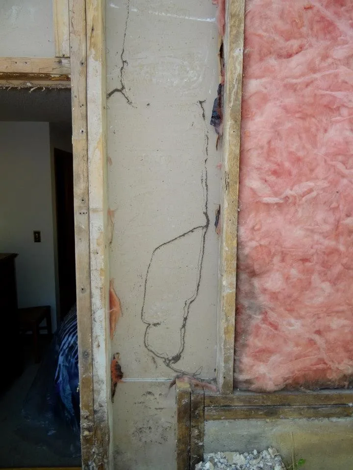 Timber Decay and Moisture Damage by Gordon Designed Homes, LLC - Photo 29