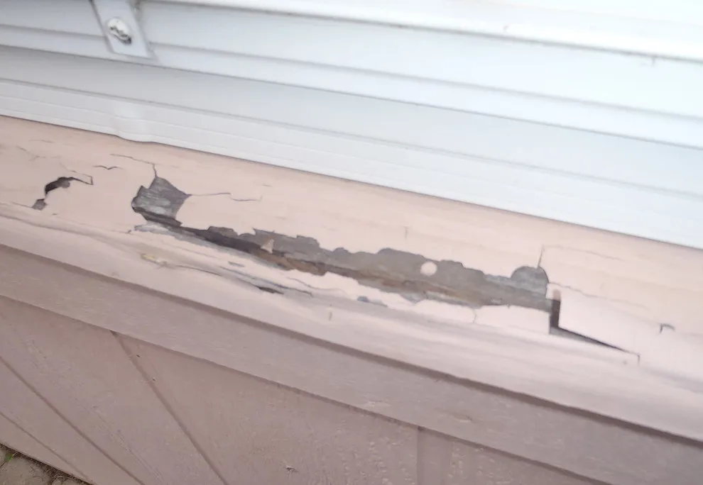 Timber Decay Restoration and Repair by Proof Construction - Photo 4