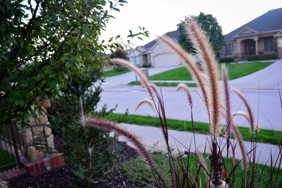 French Country Corner lot Courtyard by Breaking Ground - Photo 26