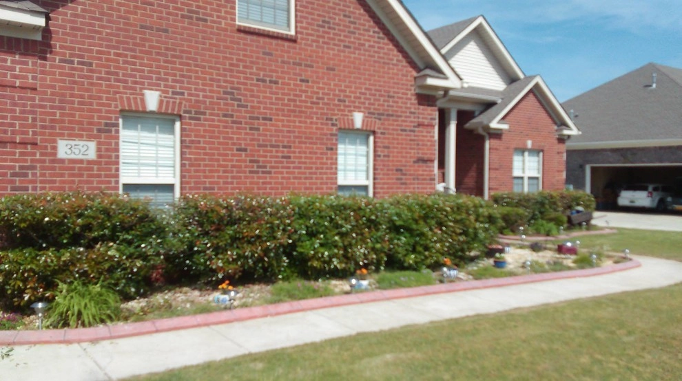 Overgrown Hedge Trimmings by L & D Landscaping - Photo 4