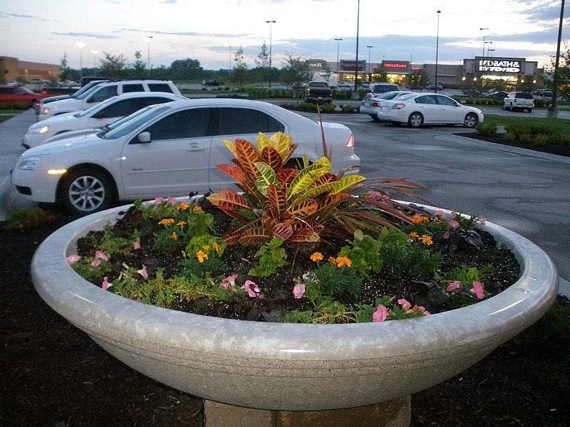 Custom Potting Projects by Executive Lawn & Landscaping, LLC. - Photo 27