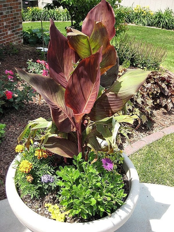 Custom Potting Projects by Executive Lawn & Landscaping, LLC. - Photo 18