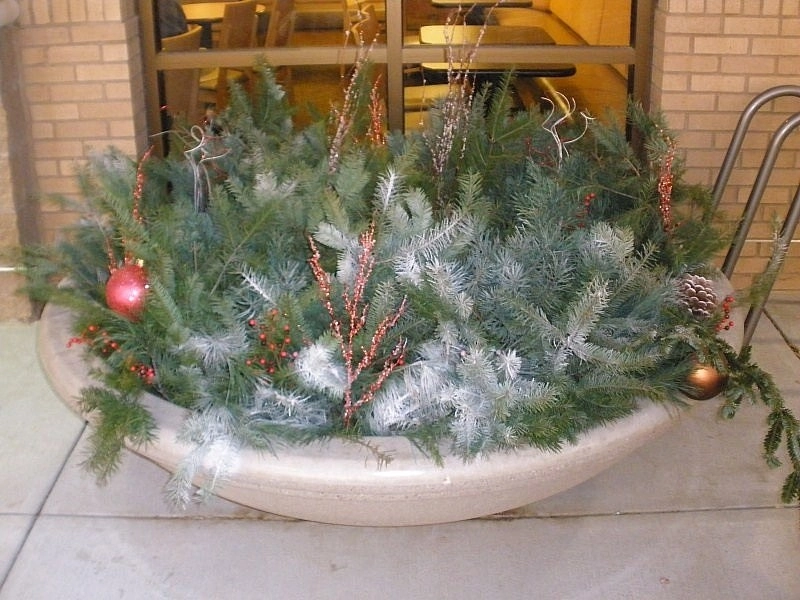 Custom Potting Projects by Executive Lawn & Landscaping, LLC. - Photo 22
